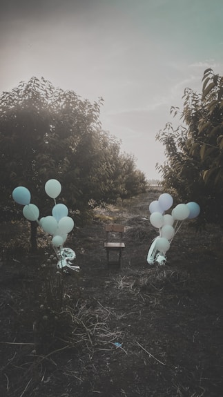 a bunch of balloons sitting in the middle of a field