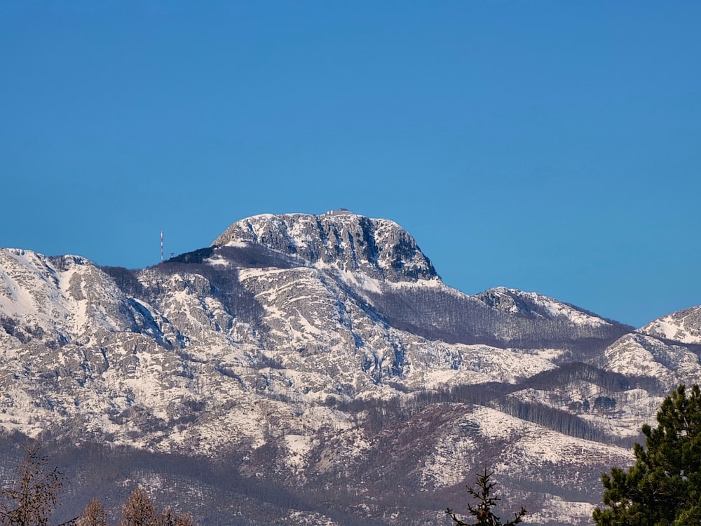 uma montanha coberta de neve com árvores em primeiro plano