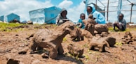 A close-up view of several handmade clay sculptures resembling animals placed on the ground, with a blurred background showing four children in hoodies sitting on grass near blue tents. The setting appears informal and outdoor, suggesting a community or camp environment.