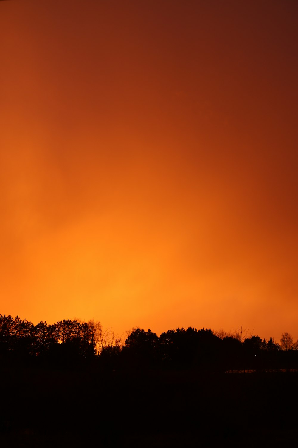 an orange sky with trees in the background