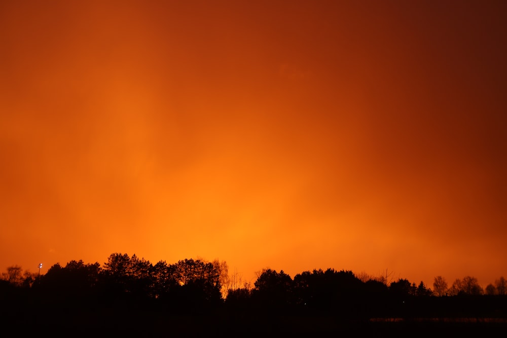 an orange sky with trees in the foreground