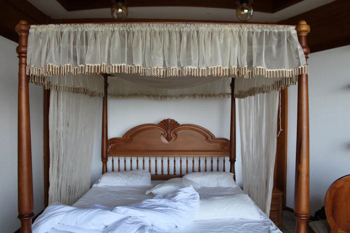 Best Boutique Hotels in Wayanad for Style, Character, and No Chain-Hotel Vibes