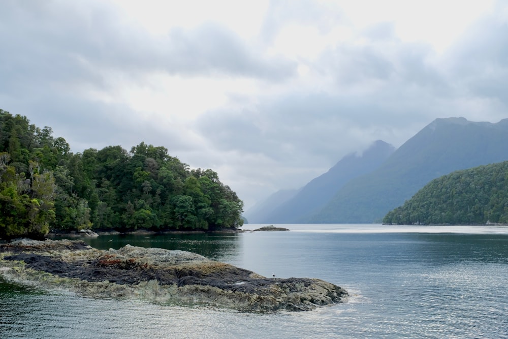 a body of water surrounded by trees and mountains