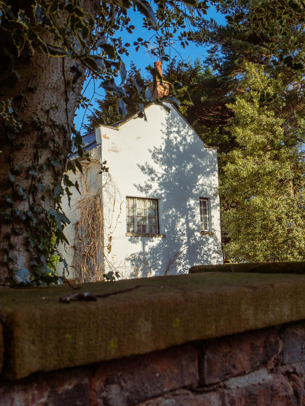 Una casa bianca seduta accanto a un albero