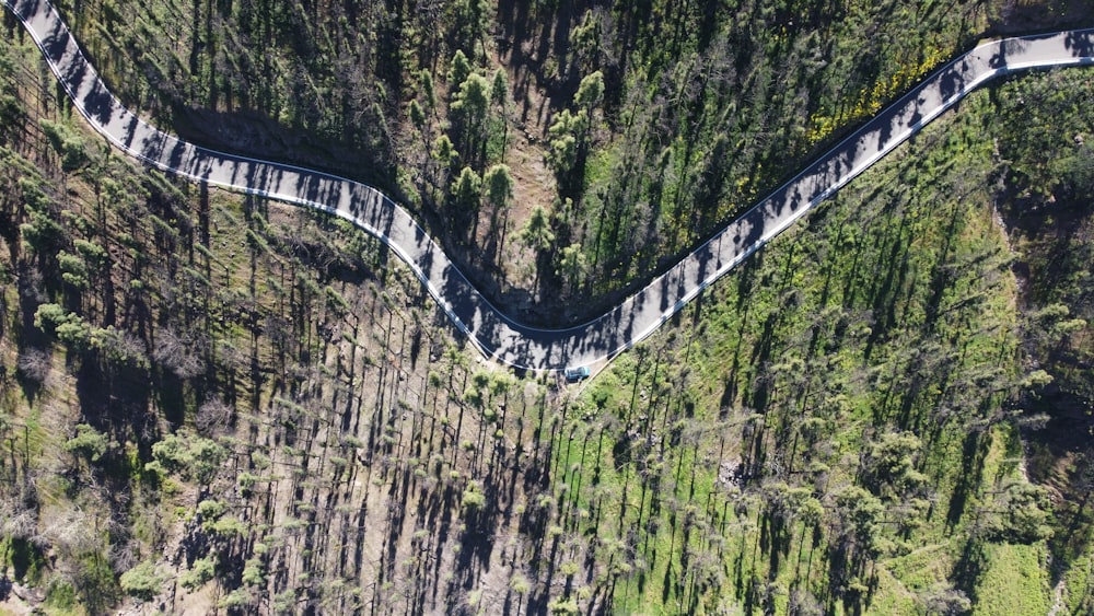 an aerial view of a road in the middle of a forest