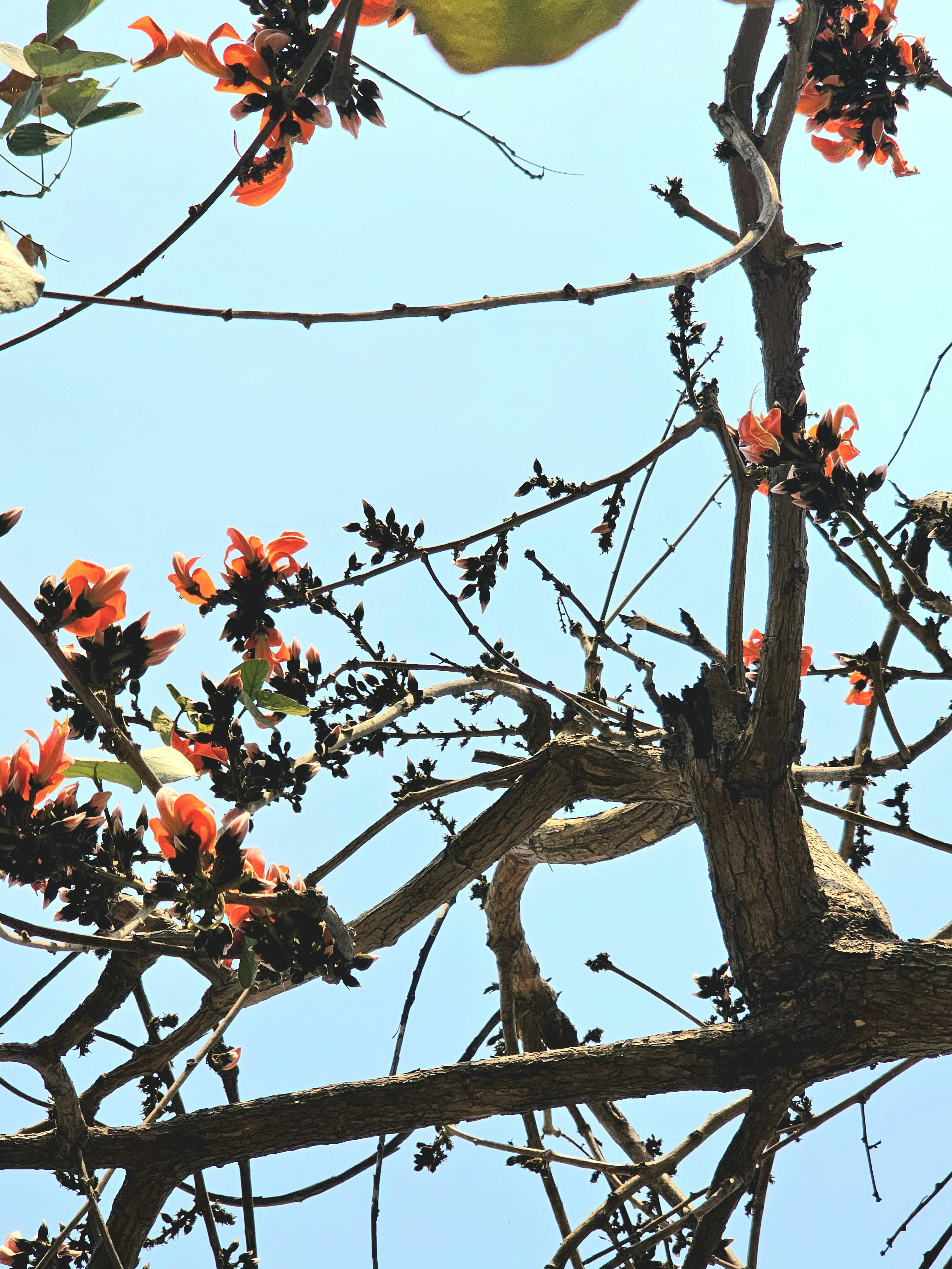 Photo by divam
