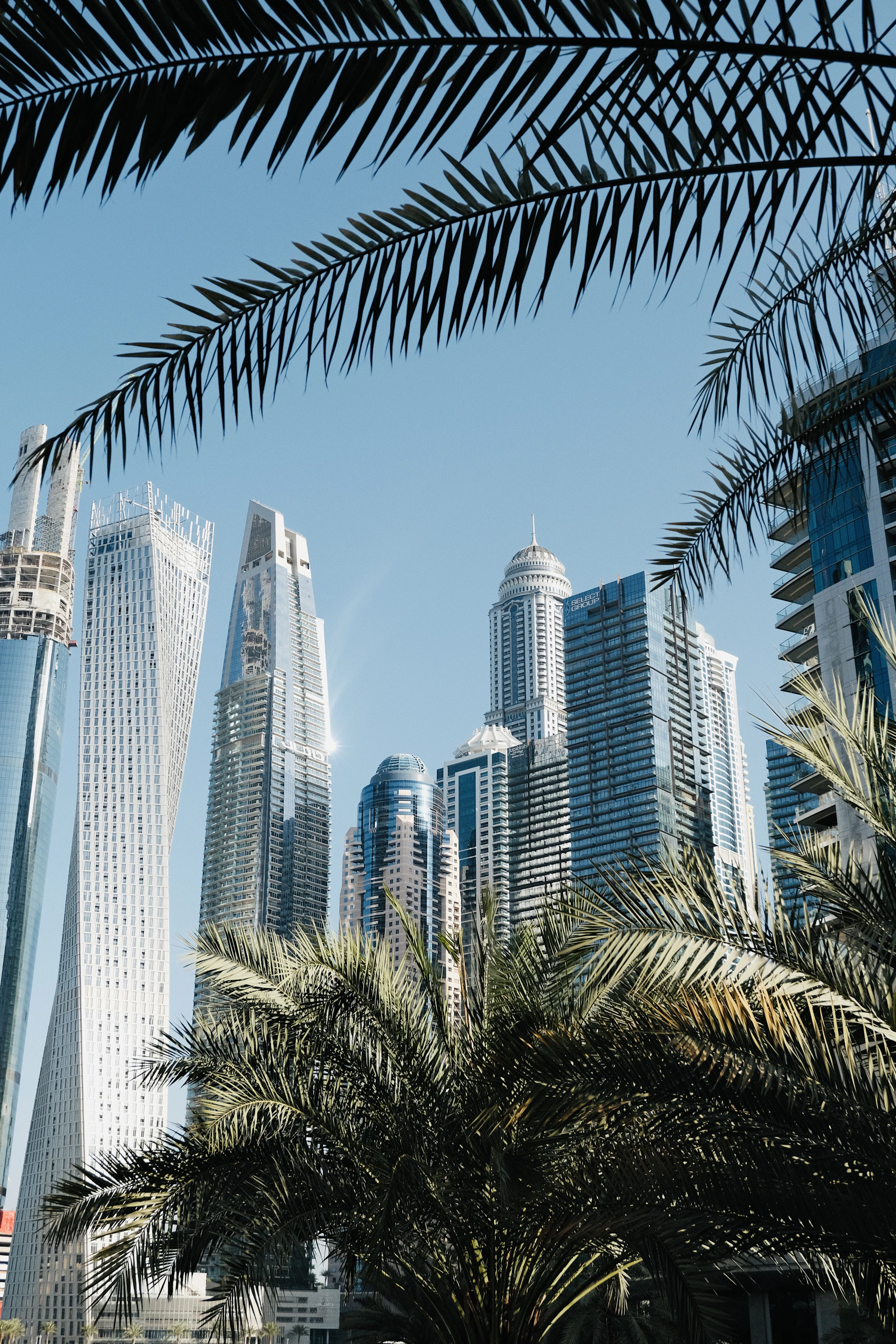 Skyscrapers and palm-lined waterfront in Dubai Marina