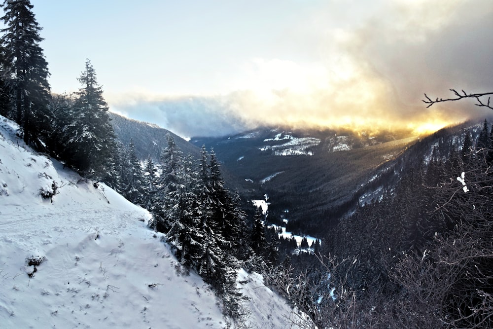 a view of a snowy mountain with trees on the side