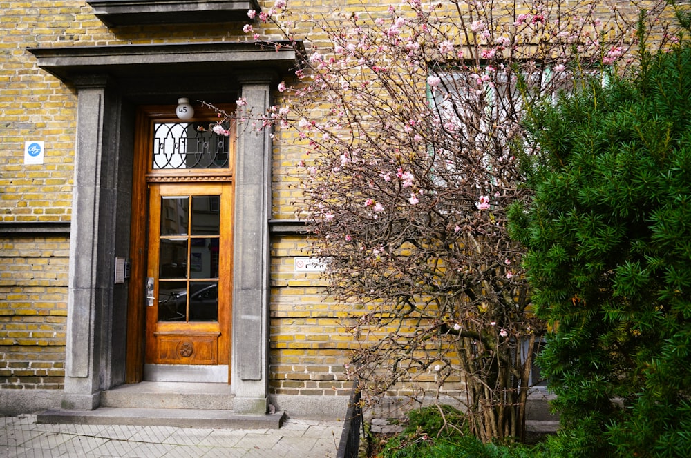 a tree with pink flowers in front of a brick building