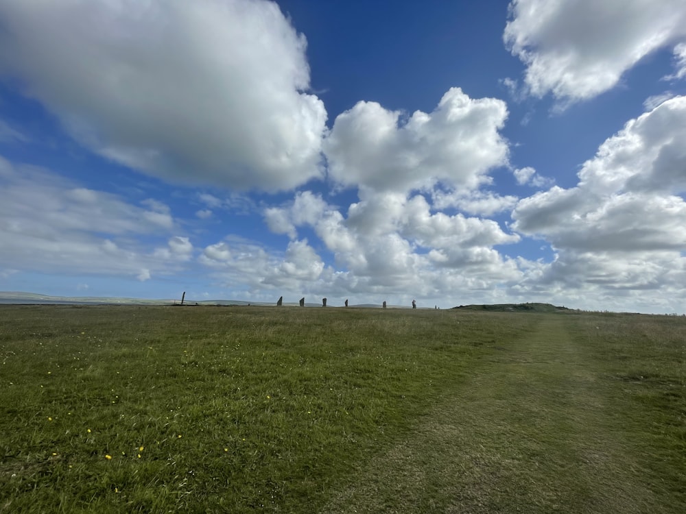 a grassy field with a sky filled with clouds