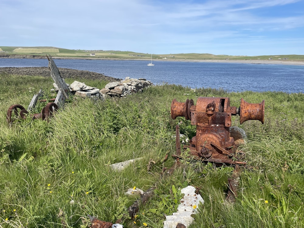 a rusted fire hydrant in a grassy field next to a body of water