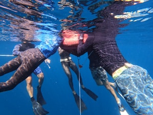 Four people underwater appear to be engaging in an activity with a red float. They are wearing snorkels and fins, suggesting this is a diving or snorkeling activity. The water around them is clear, and there are reflections on the surface.
