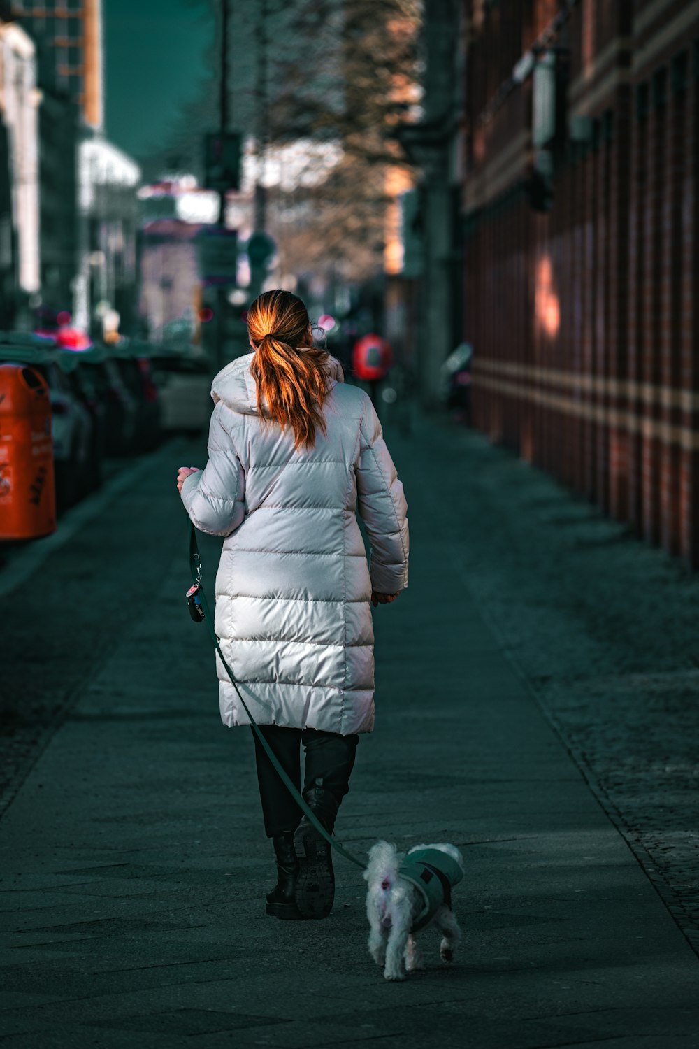 a woman walking a dog down a street