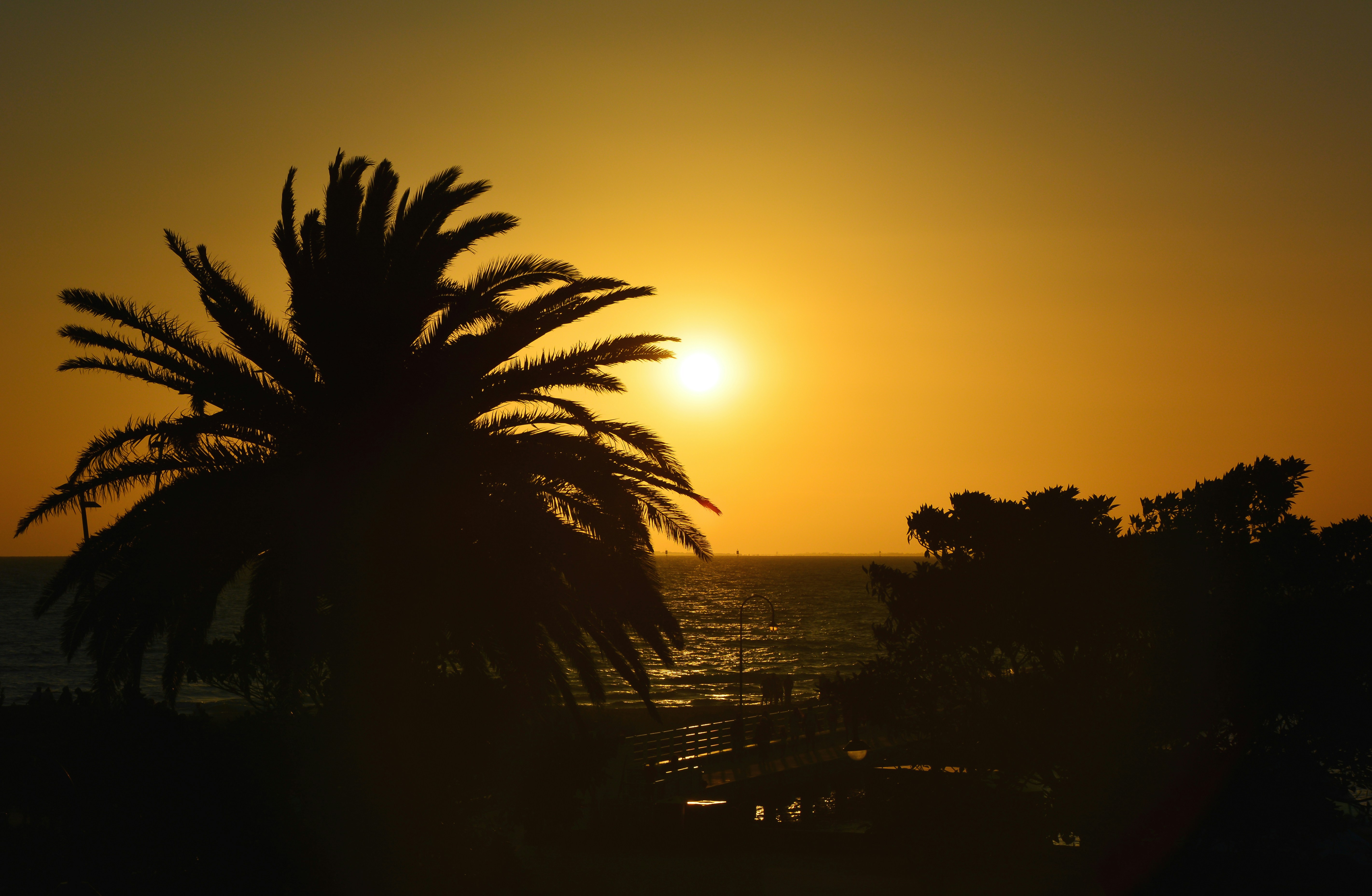 Photo by damian_ochrymowicz