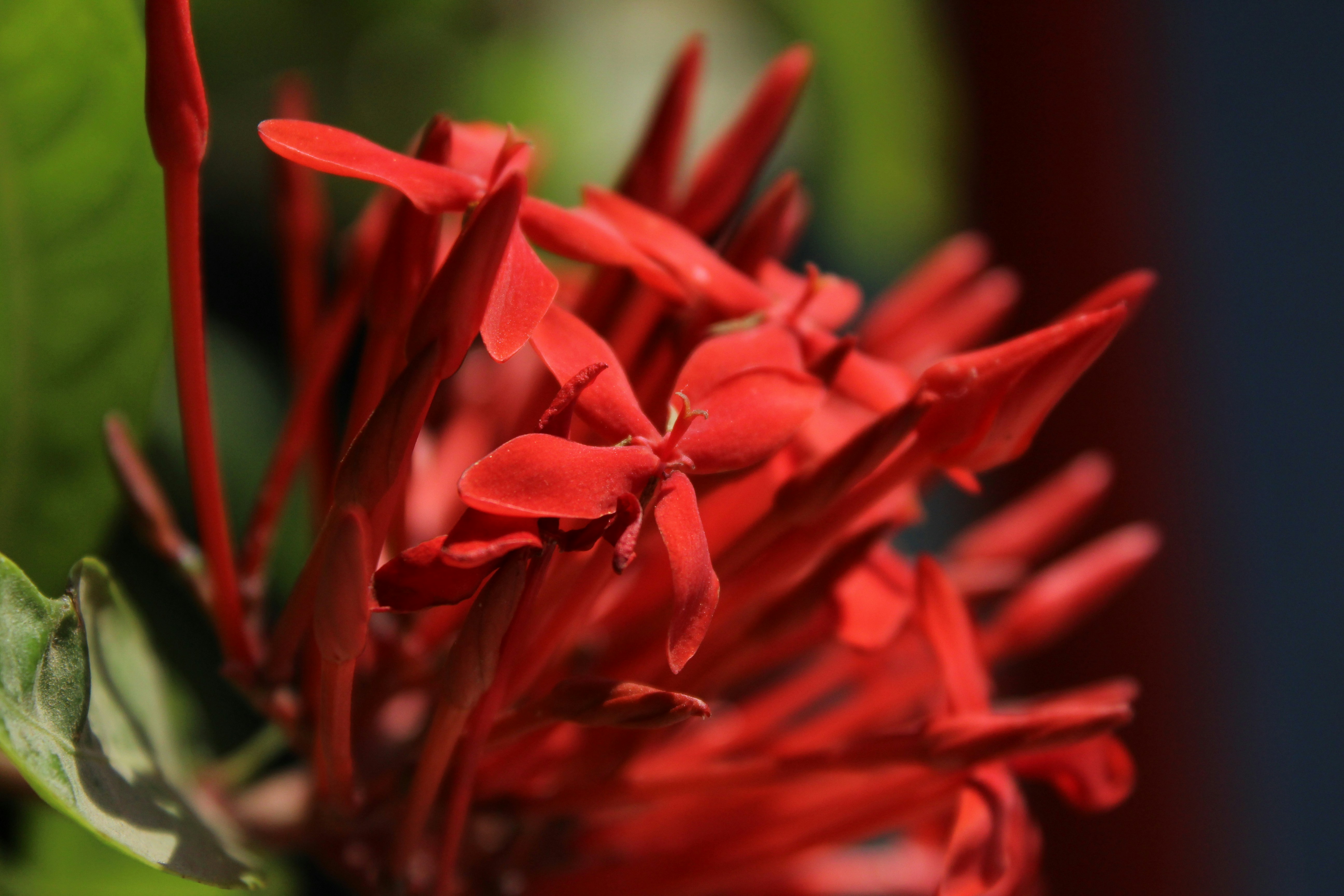 Photo by arif_zack_photography