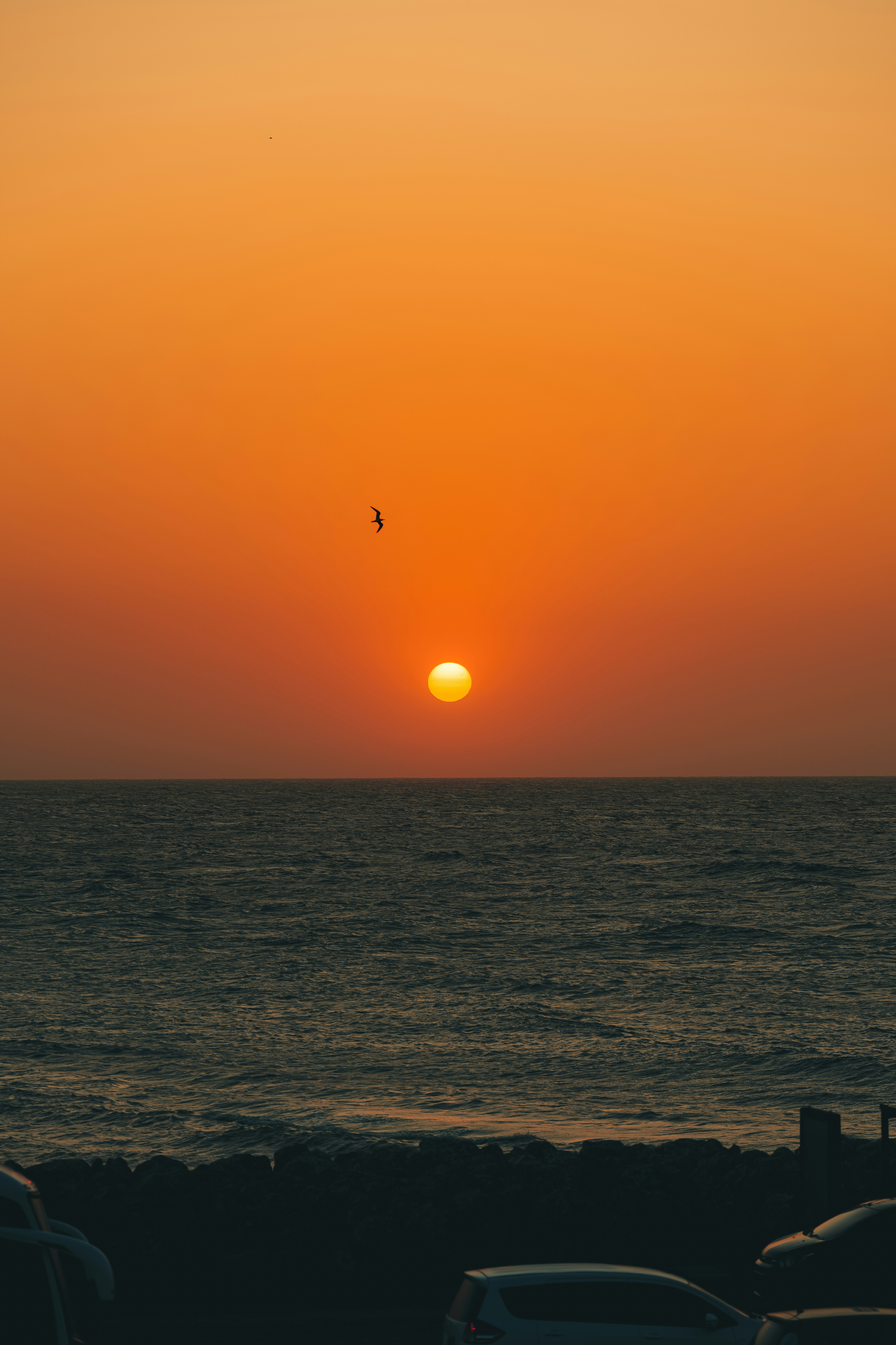 Photo by limamauro23