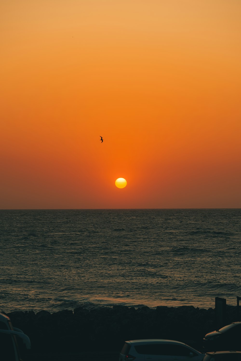 the sun is setting over the ocean with cars parked on the shore