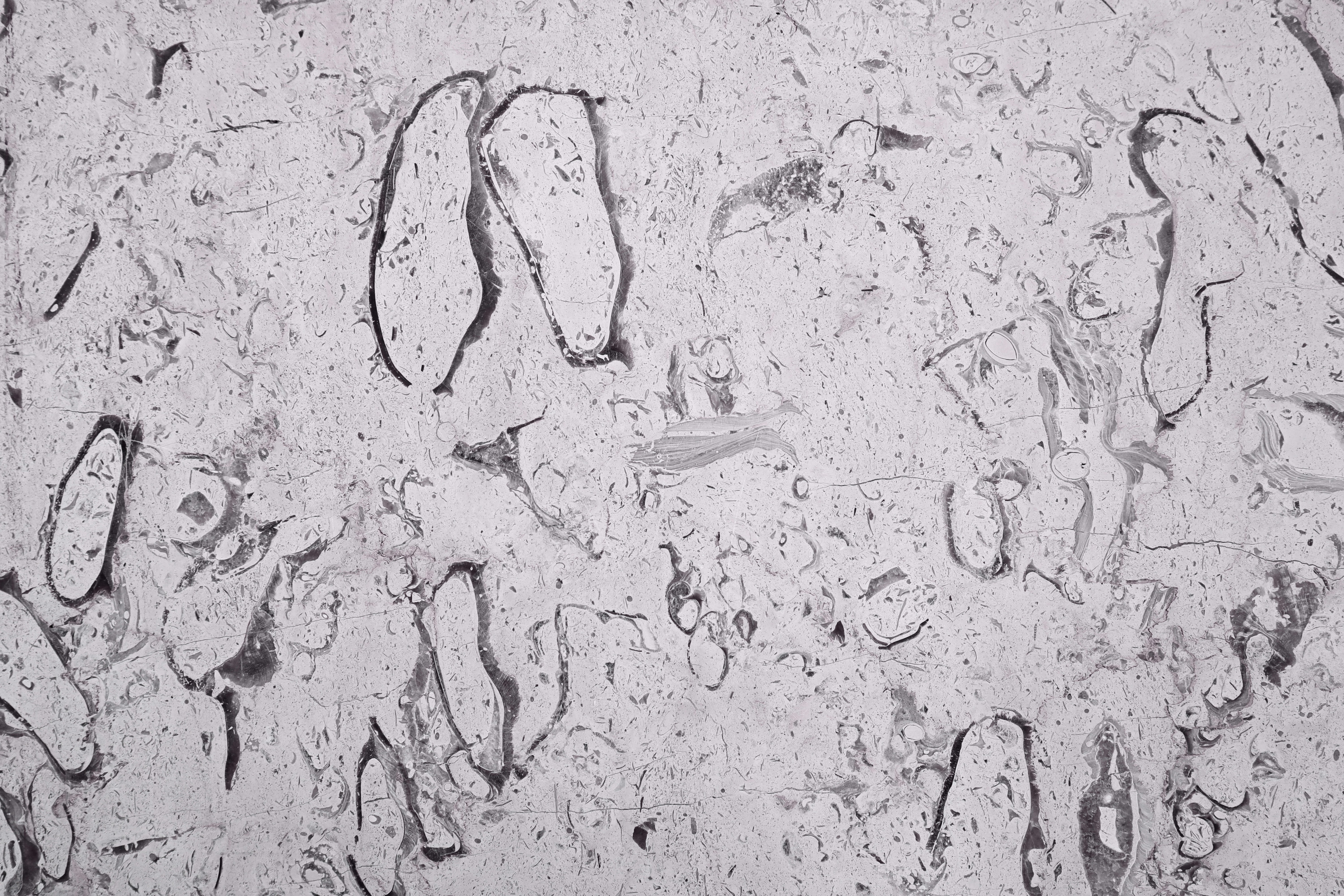 Minor Investigación - Proyecto