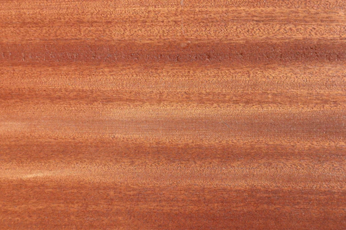 Warm walnut wood texture blending into a white background with subtle animations.