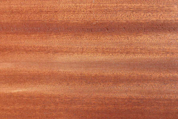 Beech