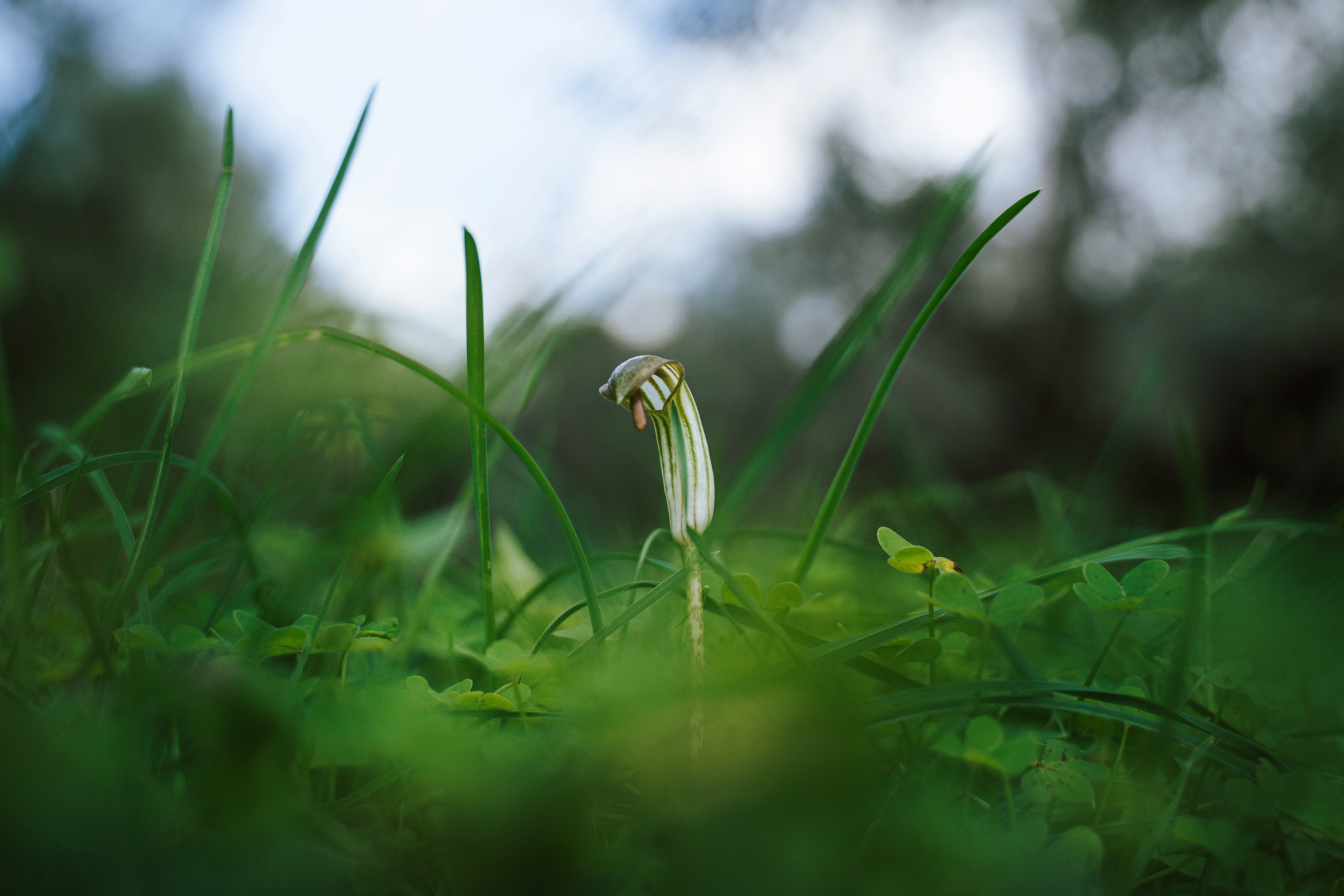 Photo by elisabethjurenka