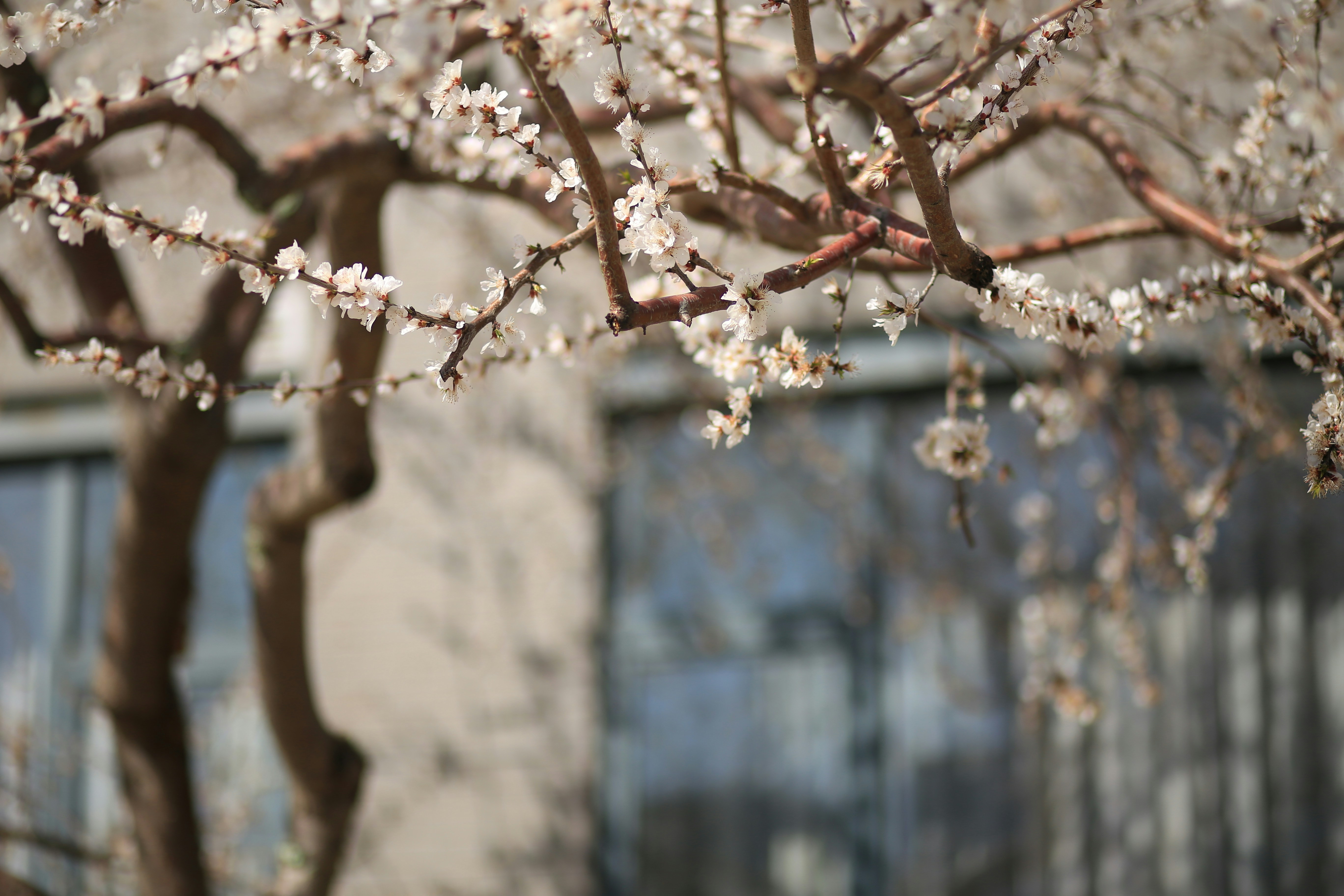 Photo by ej1209_