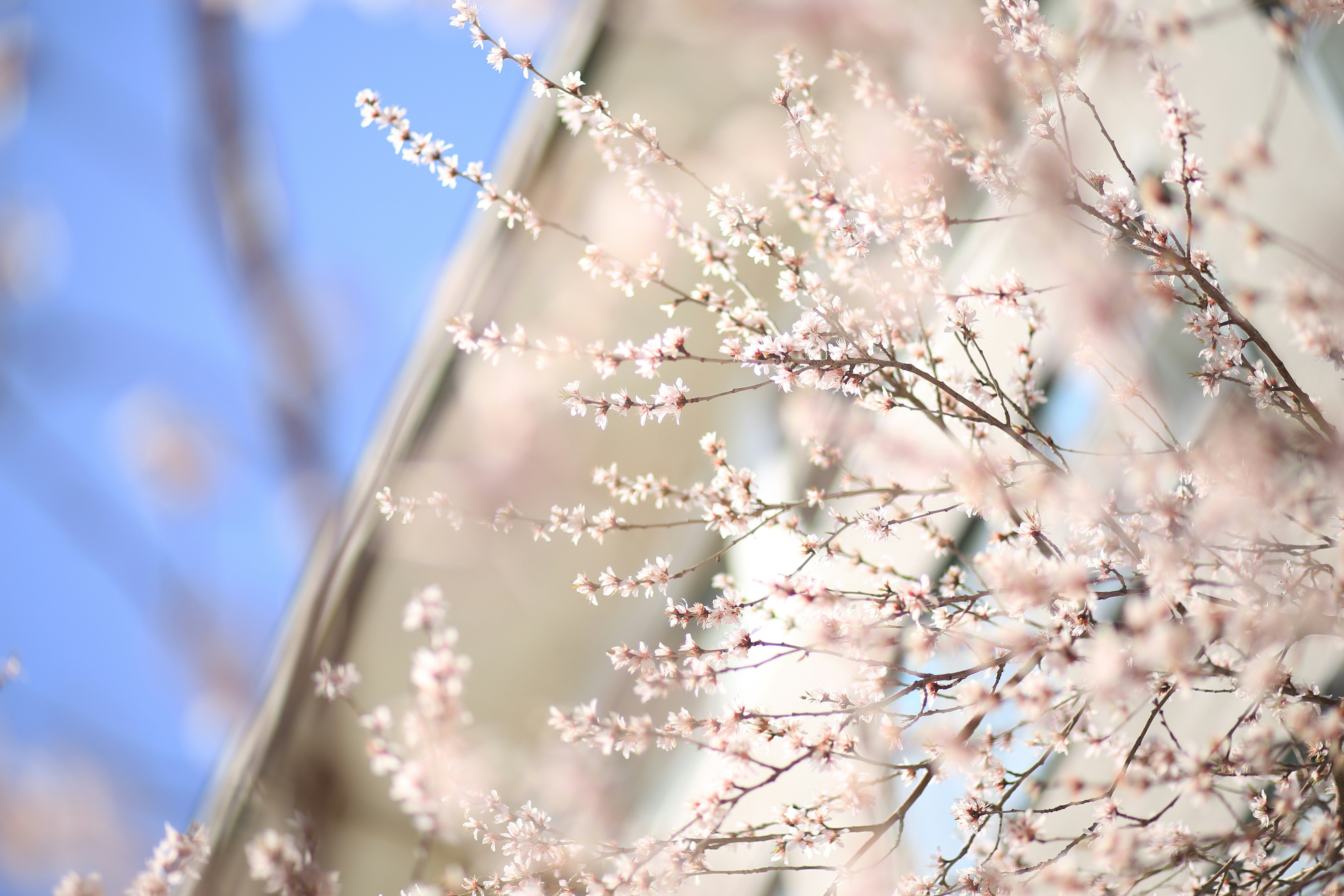 Photo by ej1209_