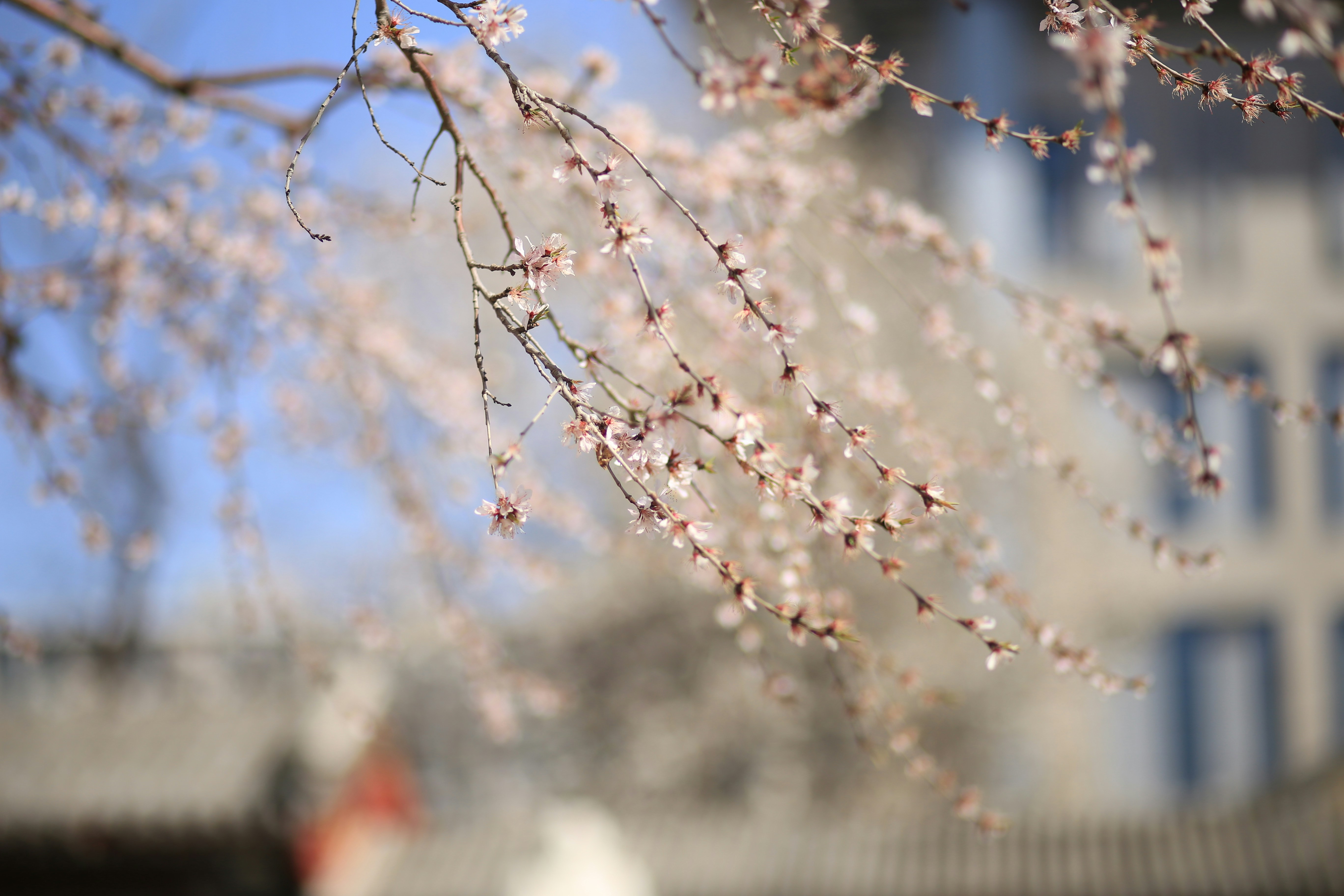 Photo by ej1209_