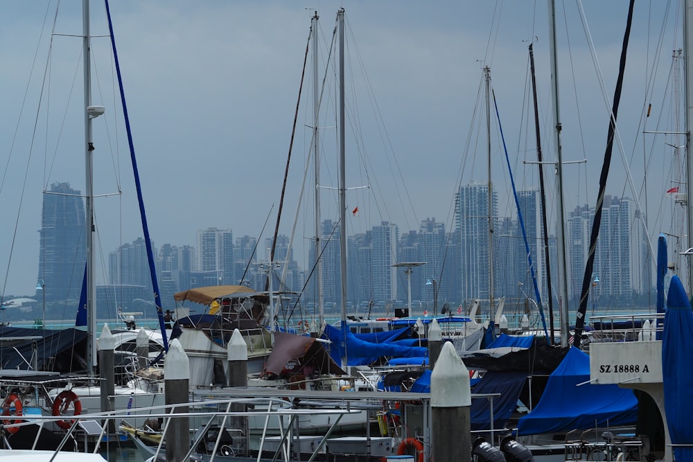 a bunch of boats that are sitting in the water