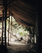A rustic, makeshift shelter with a slanted roof made of wooden and cloth materials. There are sturdy tree trunks supporting the structure. The ground is dusty, and sunlight filters through the gaps, casting shadows. Nearby, a circular arrangement of rocks suggests a fire pit. Surrounding the area are green trees and foliage, creating a natural backdrop.