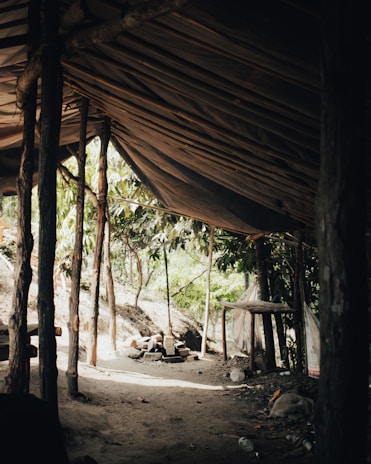 A rustic, makeshift shelter with a slanted roof made of wooden and cloth materials. There are sturdy tree trunks supporting the structure. The ground is dusty, and sunlight filters through the gaps, casting shadows. Nearby, a circular arrangement of rocks suggests a fire pit. Surrounding the area are green trees and foliage, creating a natural backdrop.