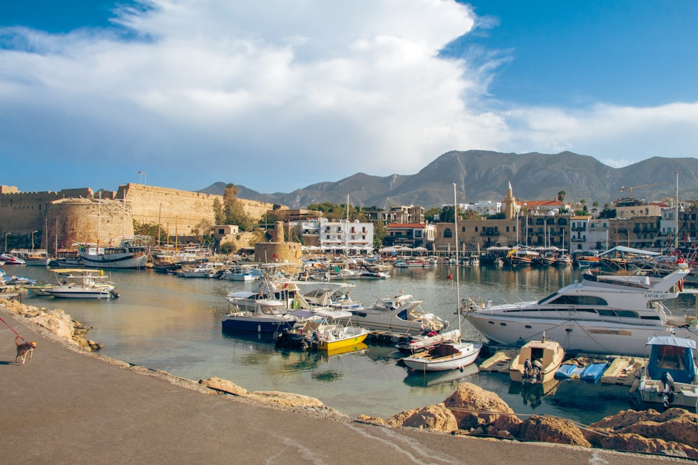 a harbor filled with lots of small boats