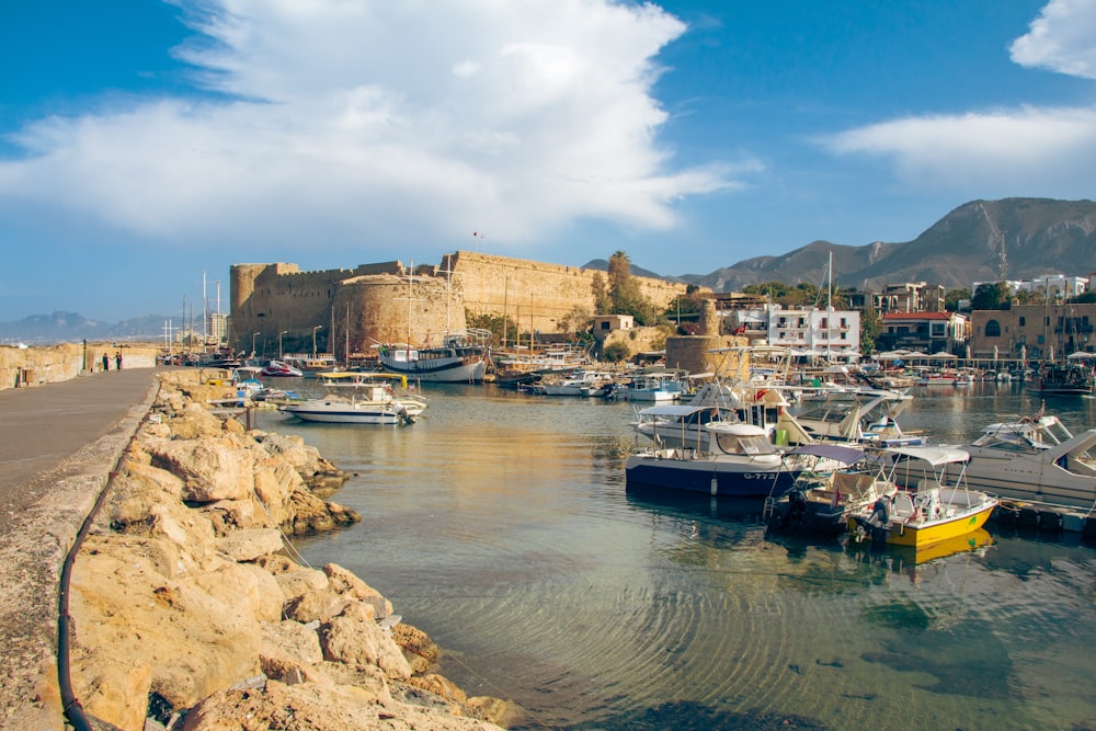 a harbor filled with lots of small boats