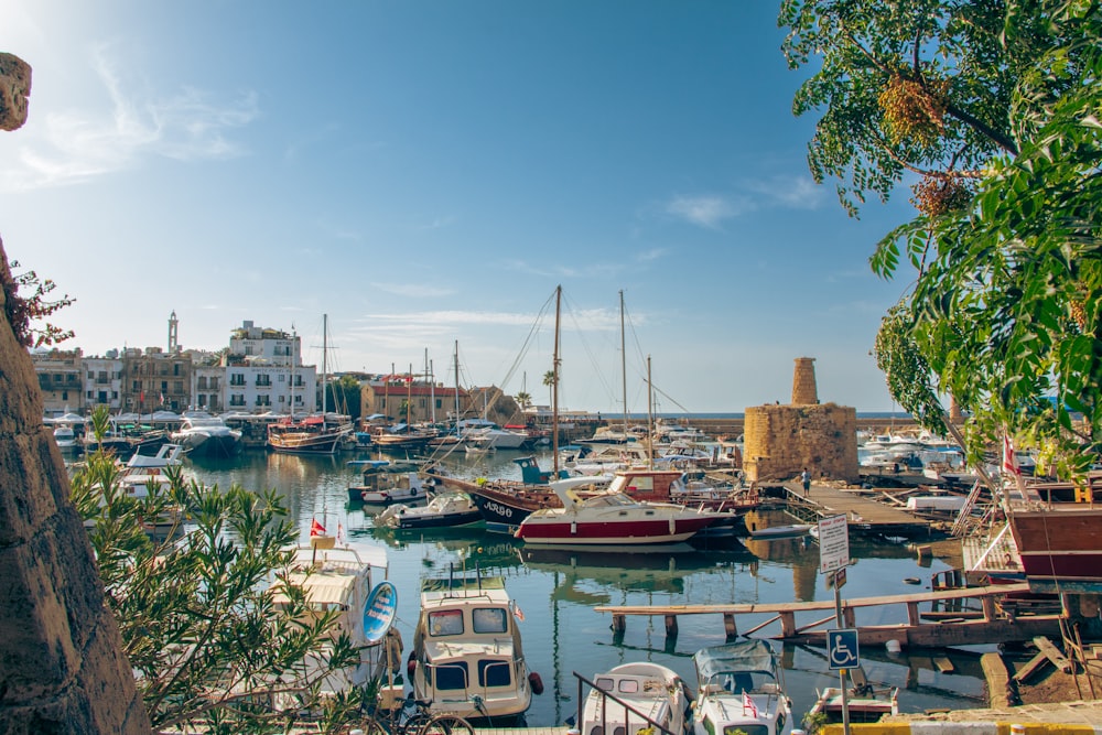 a harbor filled with lots of small boats