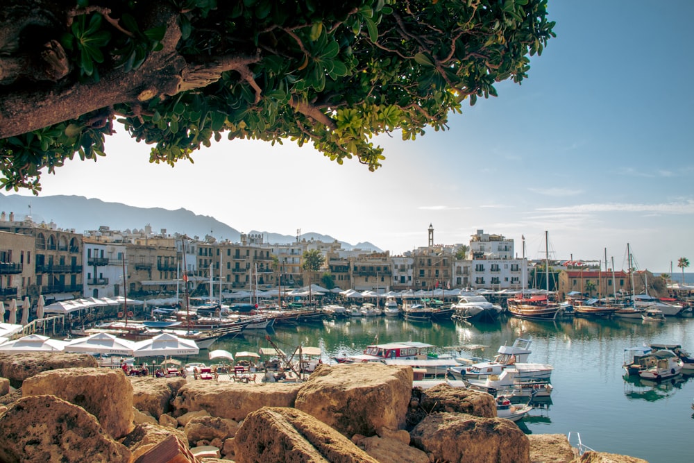 a harbor filled with lots of boats on top of a body of water