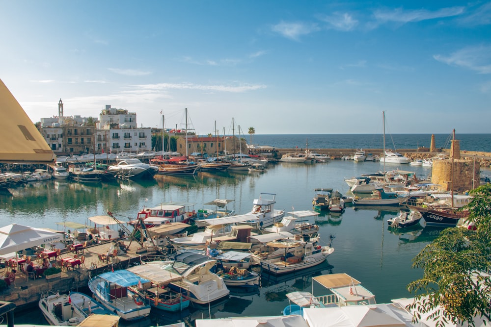 a harbor filled with lots of small boats