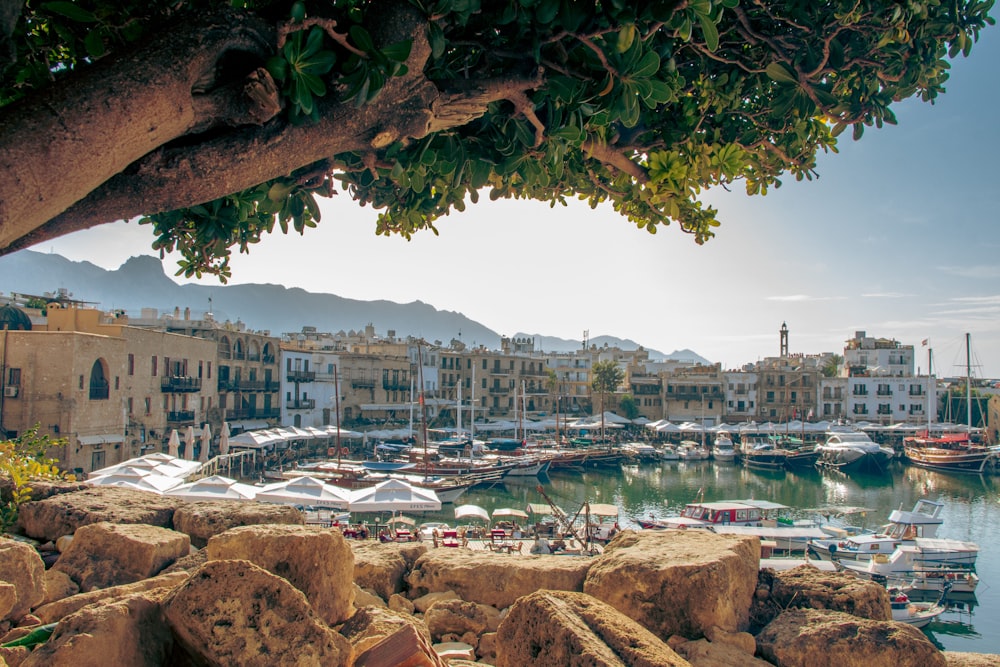 a harbor filled with lots of boats next to a hillside