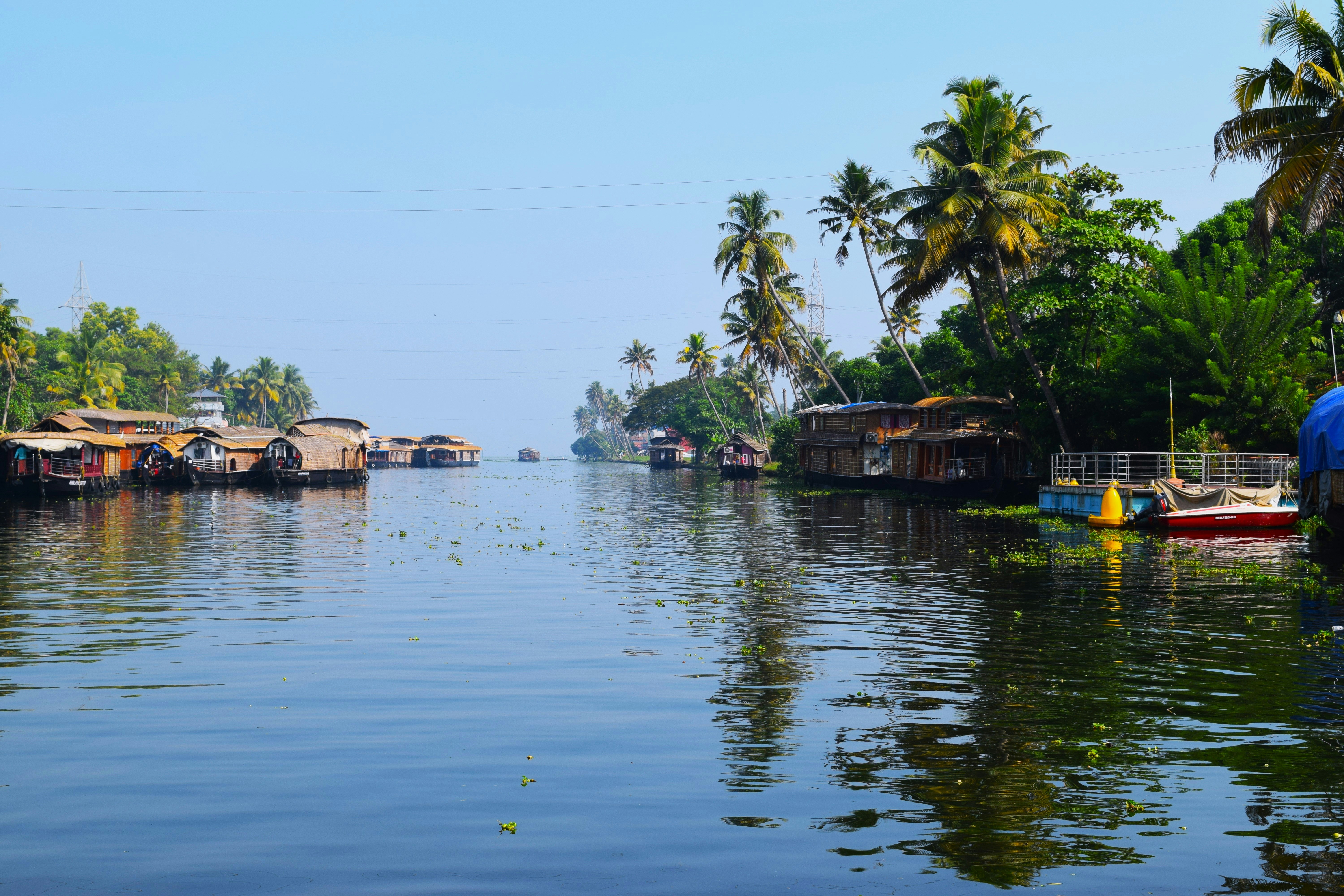 Photo by photographer_op