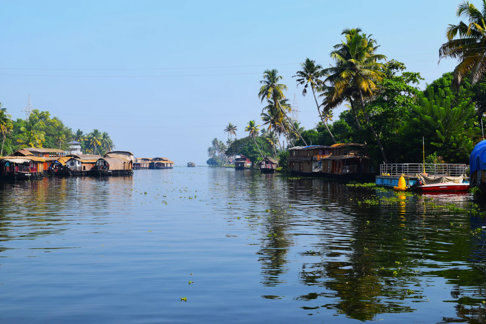 Kerala backwaters lined with palm trees and houseboats