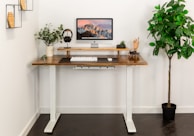 a desk with a computer and a potted plant
