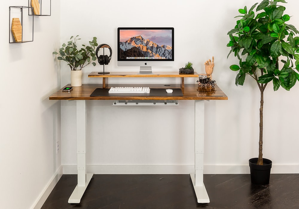 a desk with a computer and a potted plant