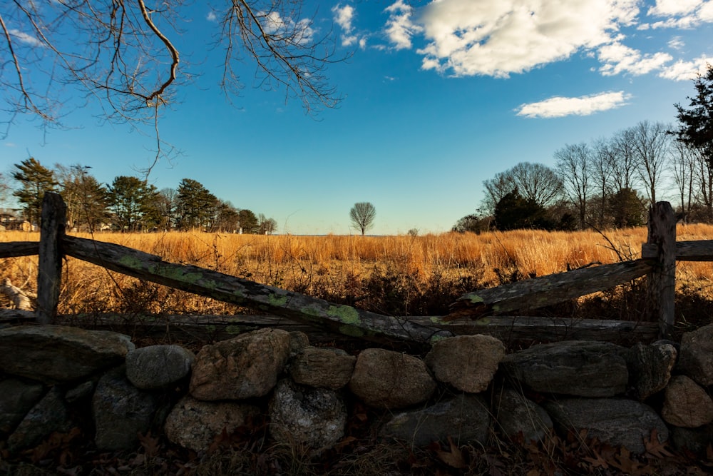 a stone wall in a field with a tree in the distance