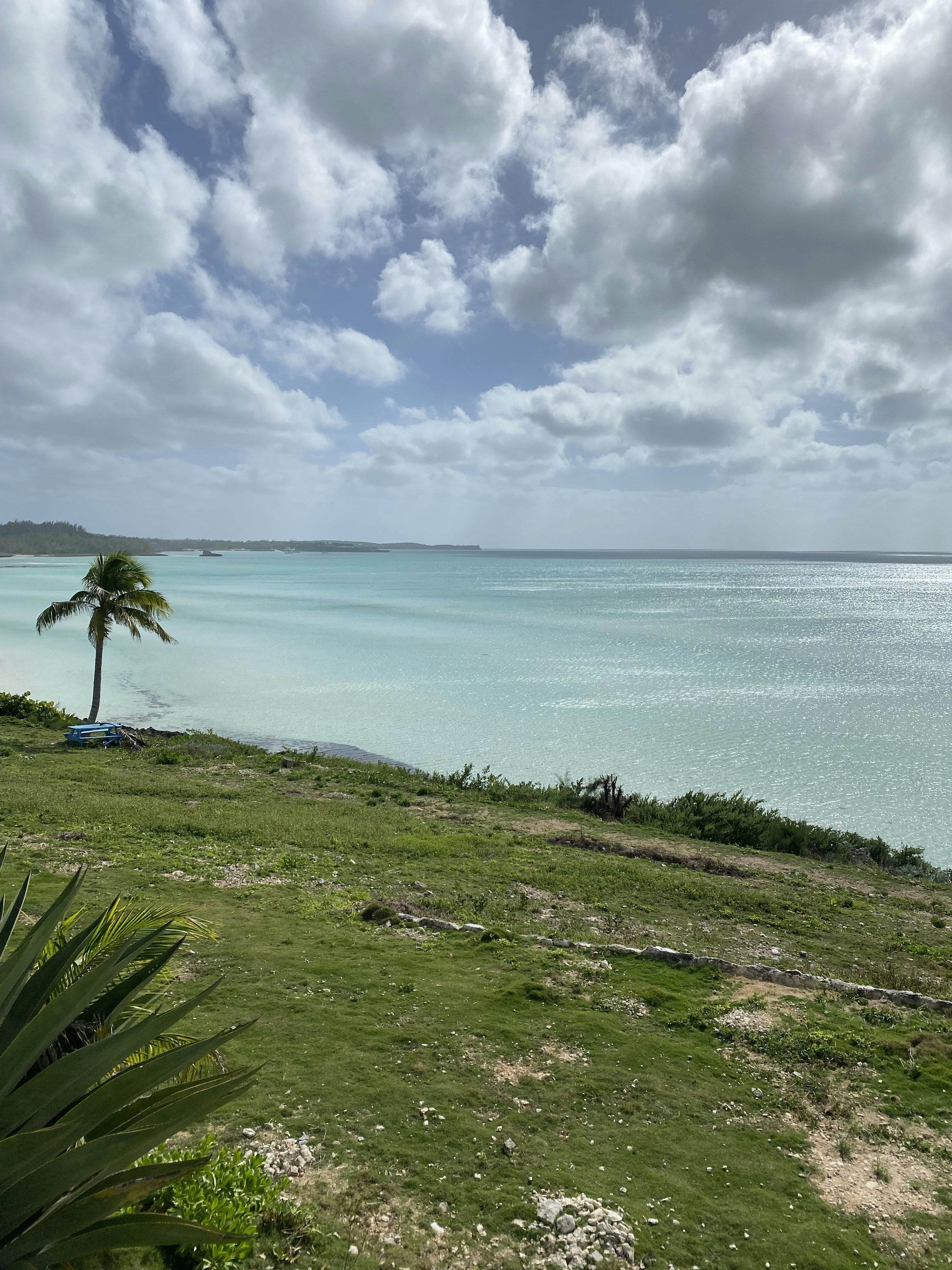 a large body of water sitting next to a lush green field