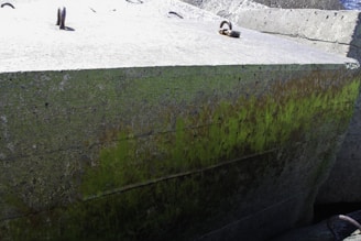 A large concrete block with visible green moss or algae growth along its side. The surface is rugged, and metal hooks or handles are embedded in the top. The texture of the concrete shows signs of wear and age.