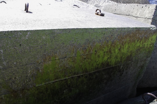 A large concrete block with visible green moss or algae growth along its side. The surface is rugged, and metal hooks or handles are embedded in the top. The texture of the concrete shows signs of wear and age.