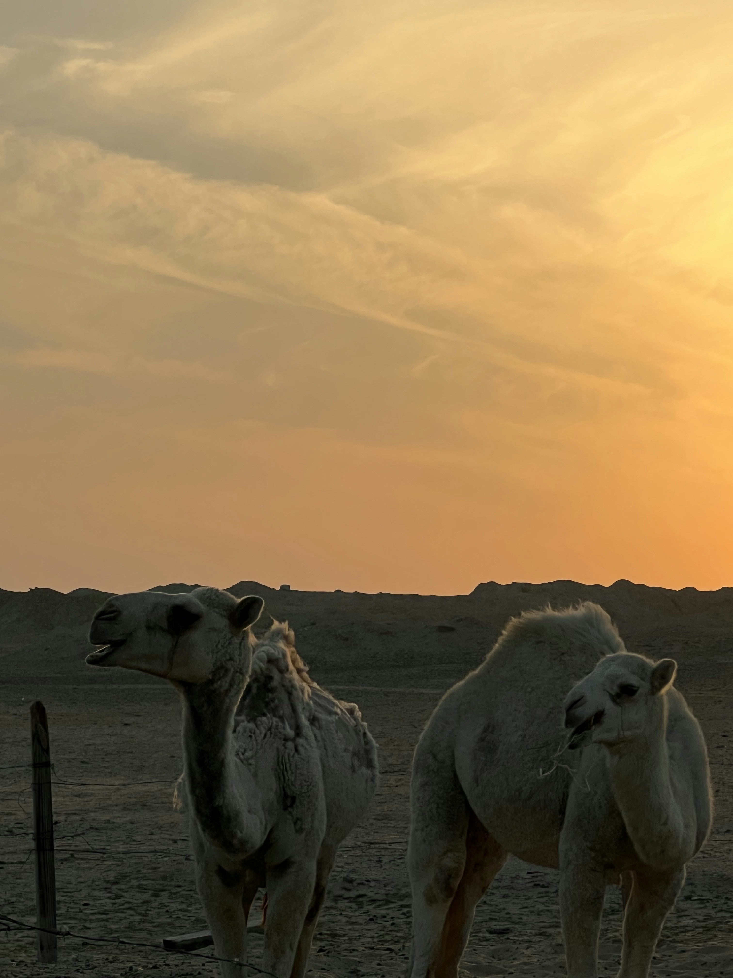 Photo by arkam1120