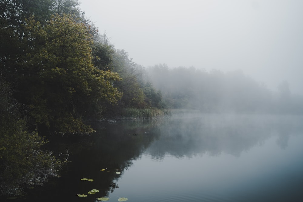 a body of water surrounded by trees and fog