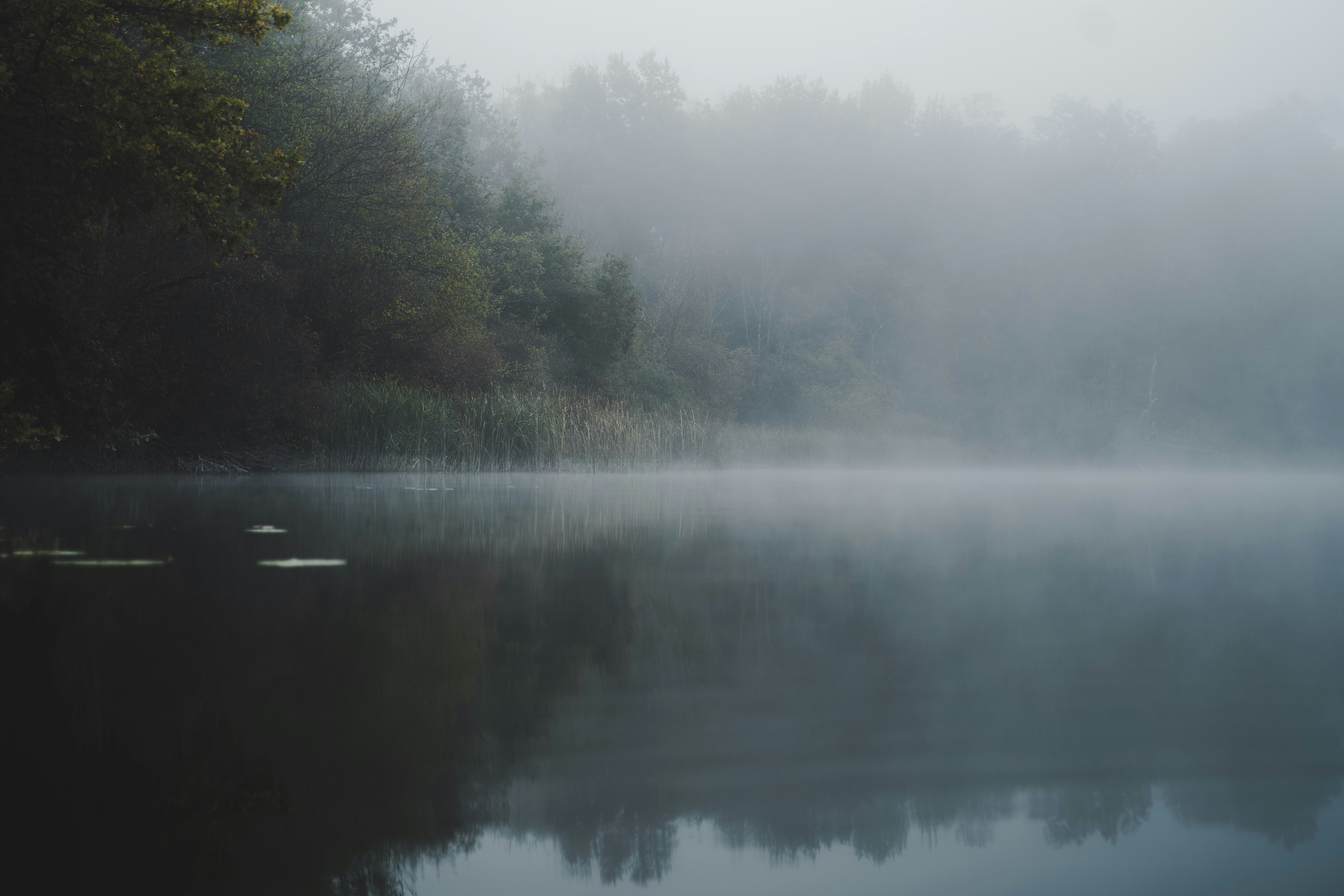 Photo by elisabethjurenka