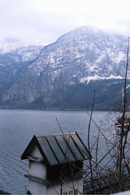 A peaceful mountain view from the cottage.