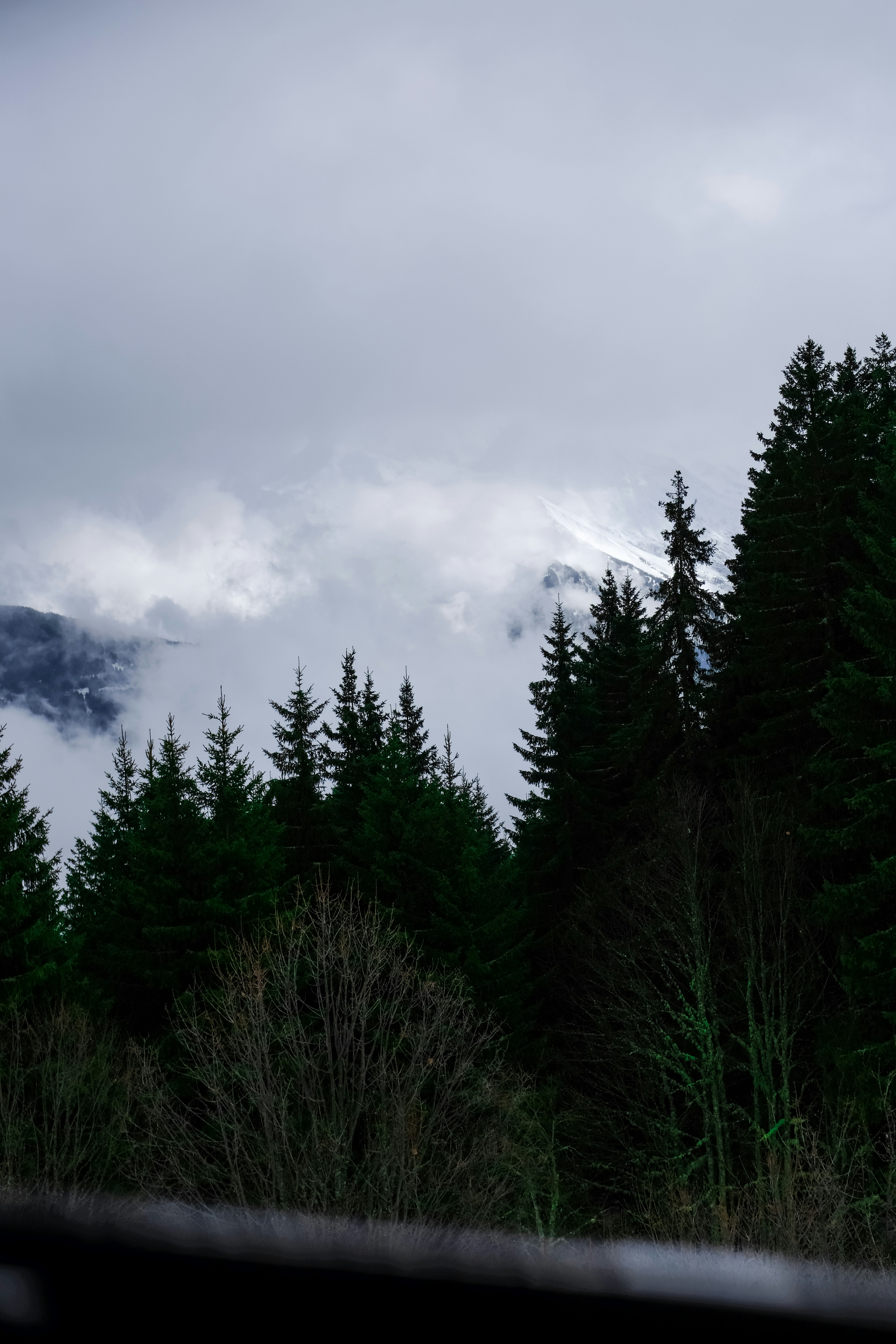 Photo by adrienolichon